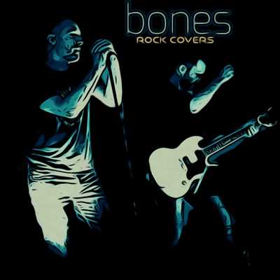 Photo groupe de musique n°946 à Lyon par BONES Live Music